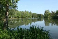 Lake photos at Genets 