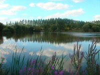 Lake photos at Lillypool 