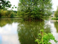 Lake photos at Toms 