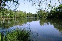 Lake photos at Genets 