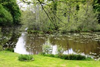 Lake photos at Oakwood 