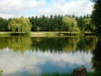 Lake photos at Toms 