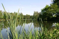 Lake photos at Genets 