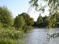 Lake photos at Lillypool 