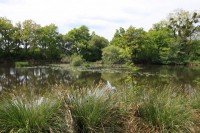 Lake photos at Oakwood 