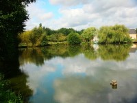 Lake photos at Toms 