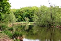 Lake photos at Oakwood 