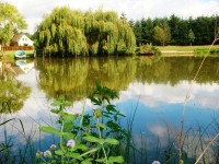 Lake photos at Toms 