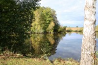 Lake photos at Alder 