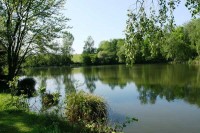 Lake photos at Genets 