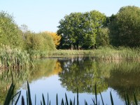 Lake photos at Lillypool 