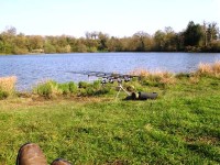 Lake photos at Sapphire 