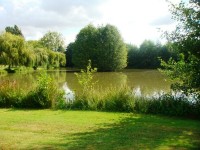 Lake photos at Toms 