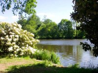 Lake photos at Vaux 