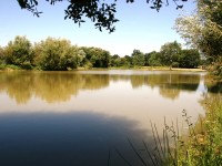 Lake photos at Oakview 