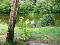 Lake photos at Hideaway 