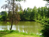 Lake photos at Genets 