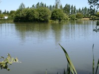 Lake photos at Lillypool 