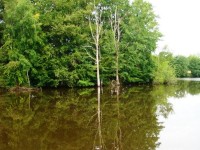 Lake photos at Alder 