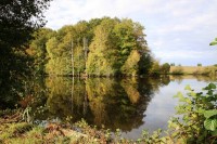 Lake photos at Alder 