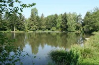 Lake photos at Genets 