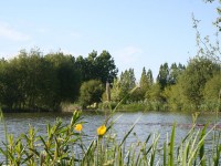 Lake photos at Lillypool 