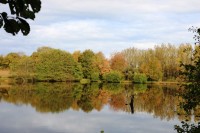 Lake photos at Alder 