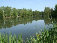 Lake photos at Genets 