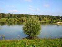 Lake photos at Beaurepaire 