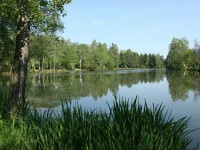 Lake photos at Genets 