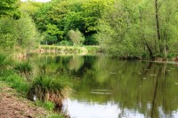 Lake photos at Oakwood 
