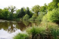 Lake photos at Oakwood 