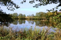 Lake photos at Alder 