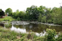 Lake photos at Oakwood 