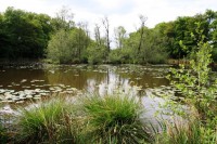 Lake photos at Oakwood 