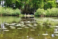 Lake photos at Oakwood 