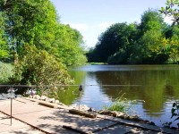 Lake photos at Vaux 