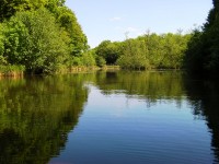 Lake photos at Oakwood 