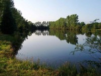 Lake photos at Old Oaks 