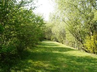 Lake photos at Villefond 
