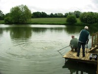 Carp lake at Morgane carp lake in France. 