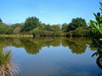 Lake photos at Glehias 