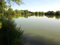Lake photos at Molyneux 