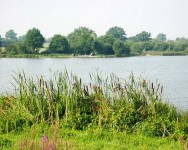 Lake photos at Margot 