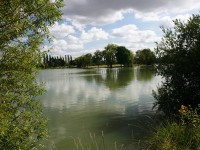 Lake photos at Malvoisine 