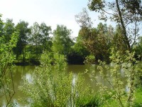 Lake photos at Genets 