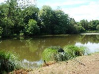 Lake photos at Oakwood 