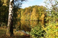 Lake photos at Alder 