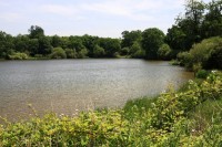 Lake photos at Sapphire 