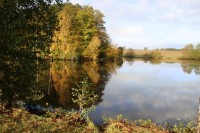 Lake photos at Alder 